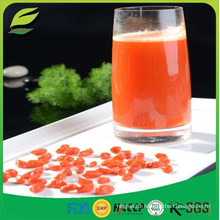 High Quality Polysaccharide, Barbury Wolfberry fruit powder